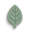 Hoja Botánica MYRKA
